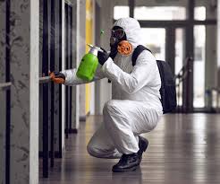 Why You Should Choose Our Mold Remediation Services in Elmira, NY